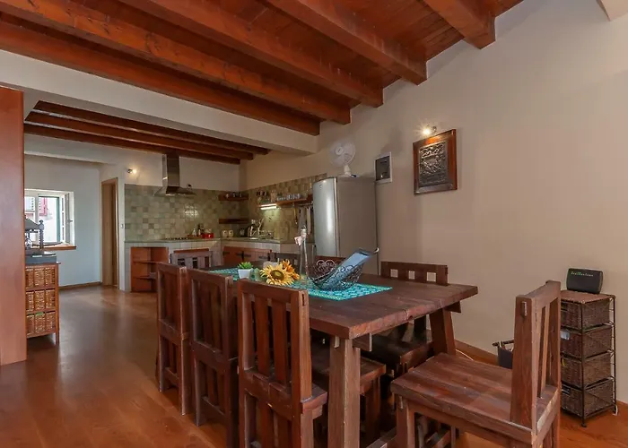 Buzza * שיבניק