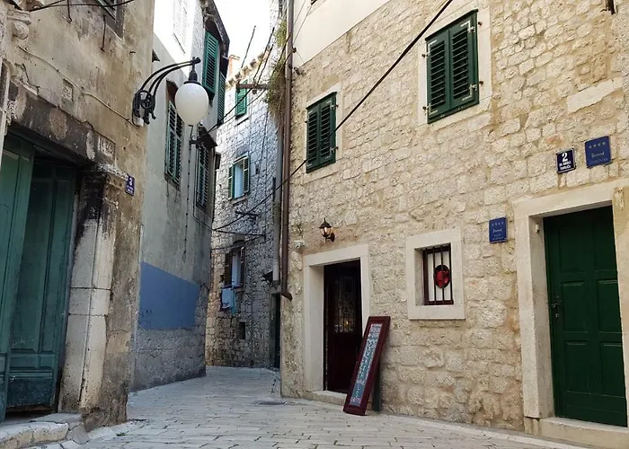 Buzza * שיבניק